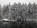 IMG_1836.jpg