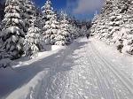 Ski 003 a.jpg