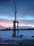 master_ims_schnee03.JPG