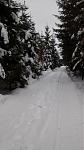 IMG_20150209_141026038[1].jpg