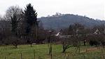 HeimatRennbuckel  in Sicht.jpg