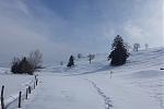 DSC00160.jpg