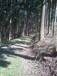 img_20130423_121800.jpg