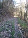 img_20130423_122118.jpg