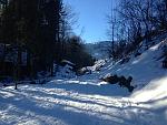 IMG_1859.jpg