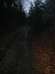 Waldlauf 2015-02-21#01 kompr.JPG