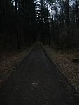 Waldlauf 2015-02-21#02 kompr.JPG