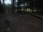 Waldlauf 2015-02-21#03 kompr.JPG