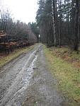Waldlauf 2015-02-21#06 kompr.JPG