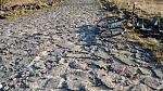 IMG_20150228_162656398.jpg