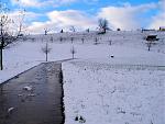 P1010022.jpg