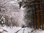 P1010031.jpg