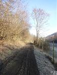2015-03-08_Tiergarten07.jpg