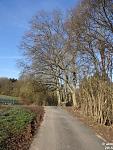 2015-03-08_Tiergarten09.jpg