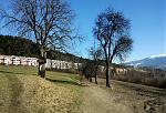 IMG_20150310_123957.jpg