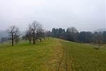 DSC00237.jpg