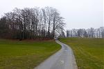 DSC00243.jpg