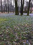 verkleinert(8).jpg