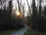 IMG_1894.jpg