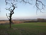 P1000585a.jpg