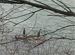 IMG_20150325_153511.jpg