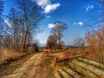 IMG_20150328_100510.jpg