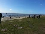 20150403_161736.jpg