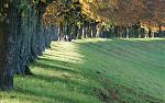 1110_Neuss_DSC05671_1680x1050.jpg