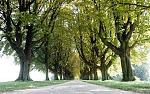 1109_Neuss_DSC05366_1680x1050.jpg