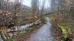 DSC00383.jpg