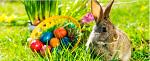 Osterhase.jpg