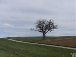 2015-04-06_Ostermontag05.jpg