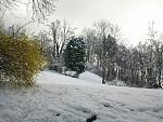 IMG_20150407_100800.jpg