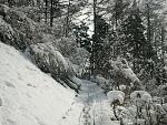 IMG_20150407_101127.jpg