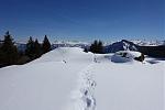 DSC00439.jpg