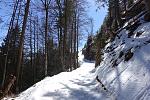DSC00419.jpg