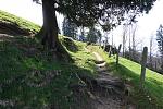 DSC00494.jpg