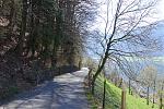 DSC00521.jpg