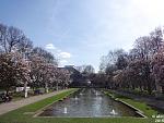 2015-04-12_Frühling22.jpg