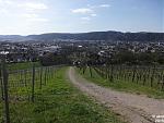 2015-04-12_Frühling14.jpg