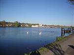 DSC00989.JPG