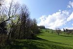 DSC00525.jpg