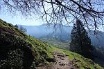 DSC00531.jpg