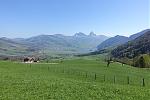 DSC00555.jpg