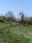 2015-04-19_Frühling-c03.jpg