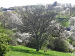 2015-04-19_Frühling-c08.jpg