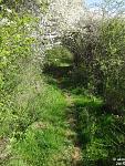 2015-04-19_Frühling-c09.jpg