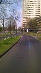 WP_20150419_006.jpg