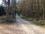 IMG_0873.jpg