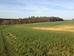 IMG_0875.jpg